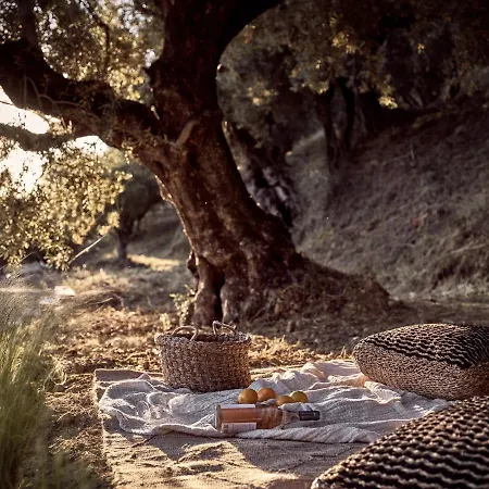 Alpha - A Leading Luxury Villa! * Ακρωτήρι